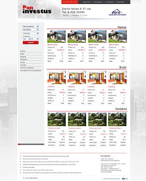 Interneto svetainių kūrimas Panevėžys